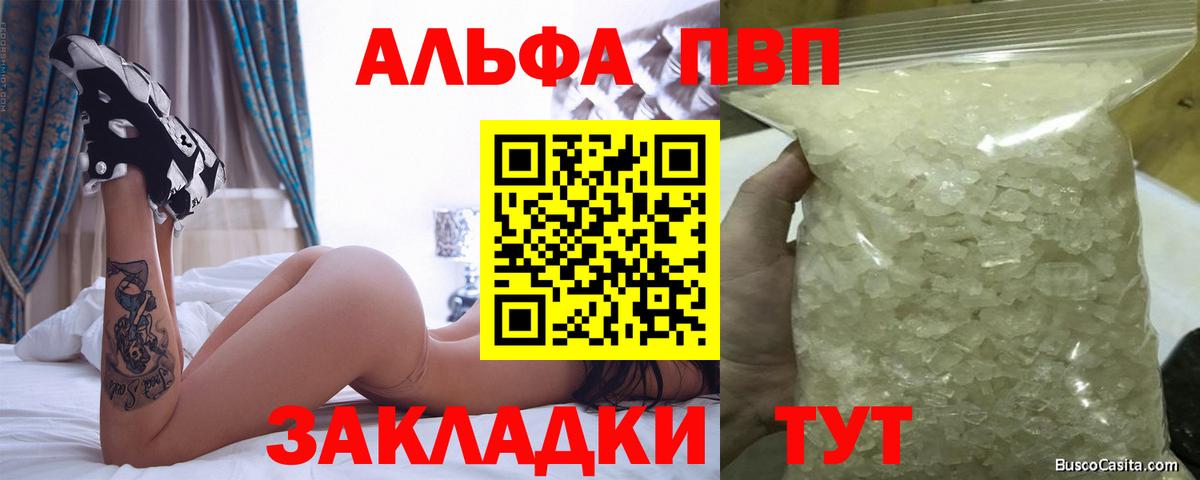 МЕФ Сальск