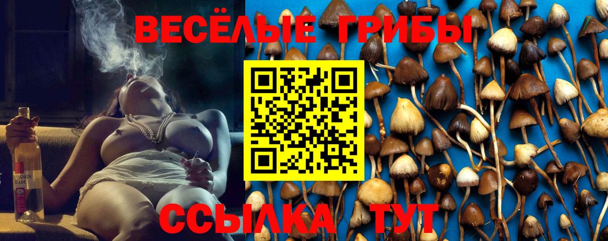Галлюциногенные грибы мухоморы  Вход с VPN  Сальск 