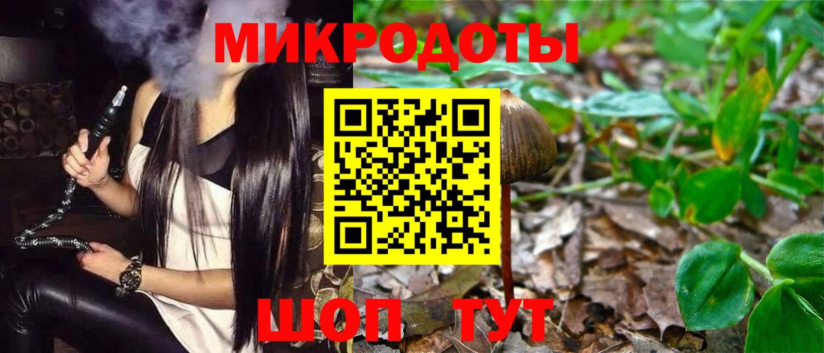 Галлюциногенные грибы мицелий Сальск